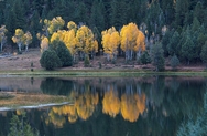 LeVanger Pond Reflection 5076
